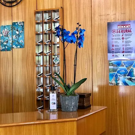 科科瓦酒店 酒店